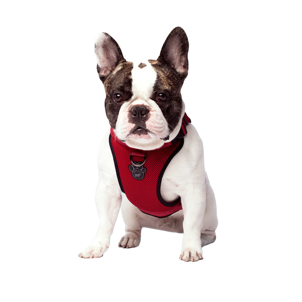 View larger image of Canada Pooch, Everything Harness - Red