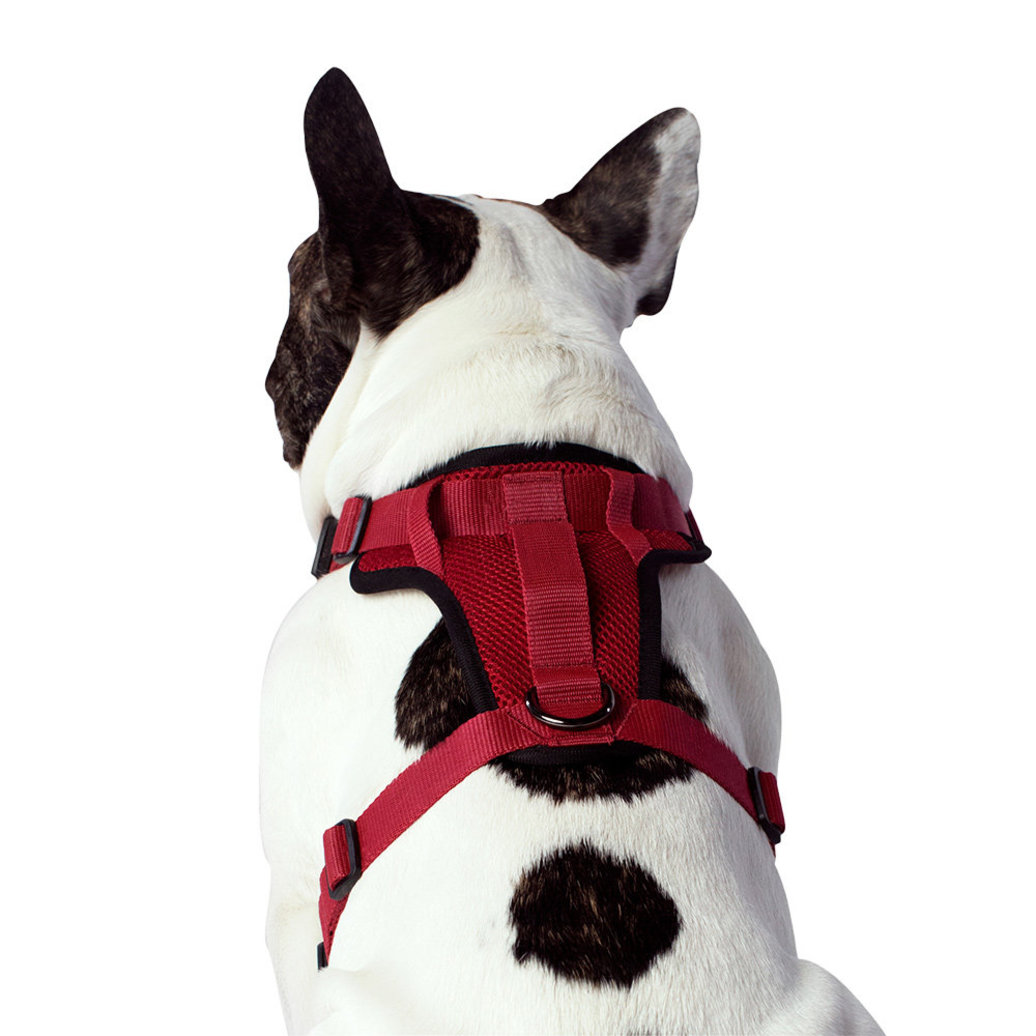 View larger image of Canada Pooch, Everything Harness - Red