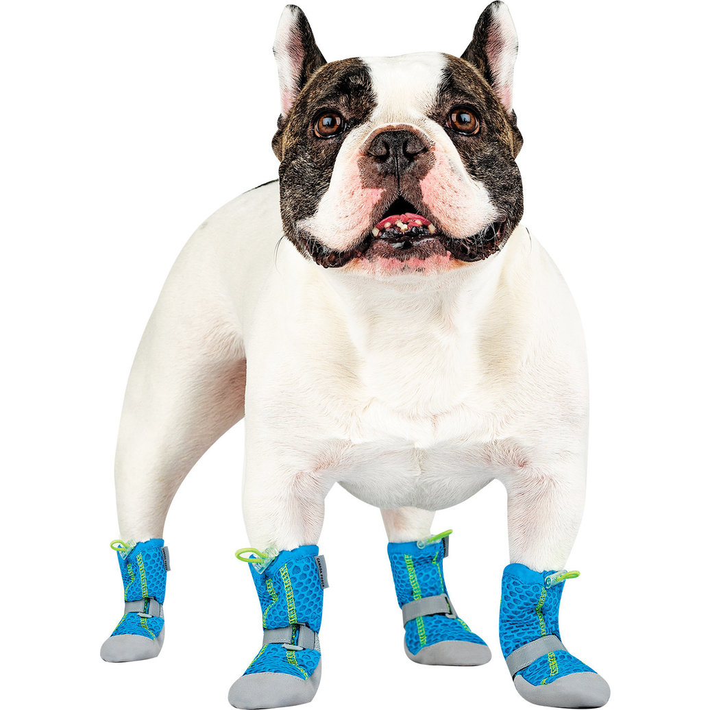 View larger image of Canada Pooch, Hot Pavement Boots