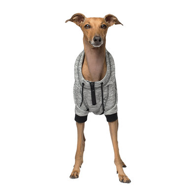 Canada Pooch, Spacedye Hero Hoodie - Grey