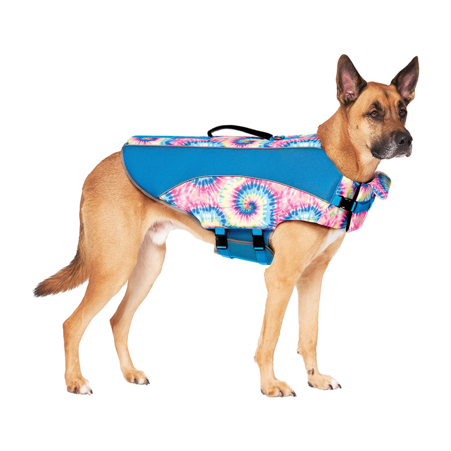 Great dane deals life vest