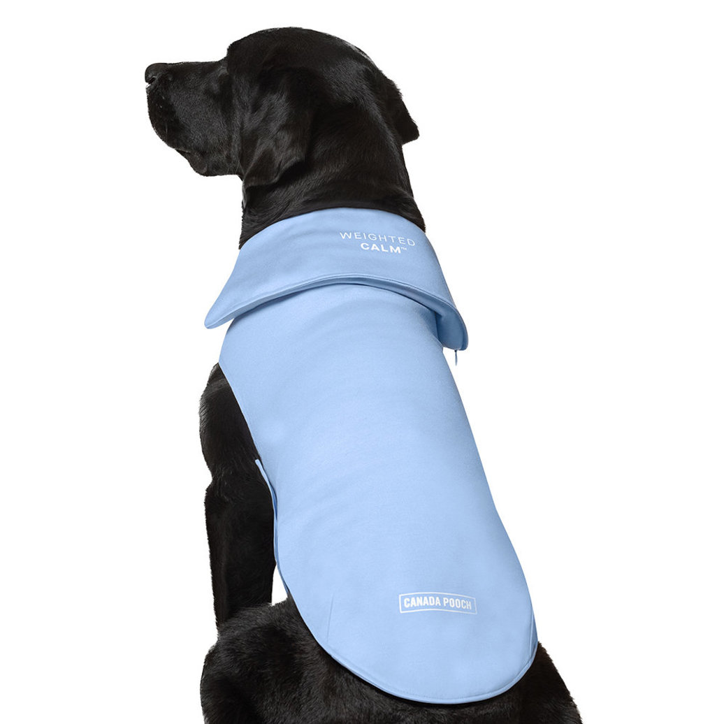 View larger image of Canada Pooch, Weighted Calming Vest