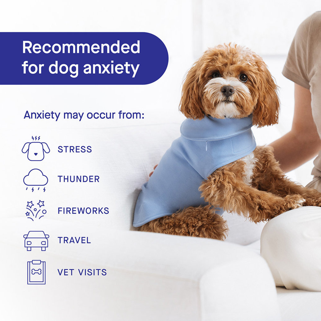 View larger image of Canada Pooch, Weighted Calming Vest