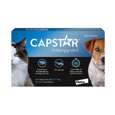 Capstar, Oral Flea Tablets - 1-11 kg - 6 pk