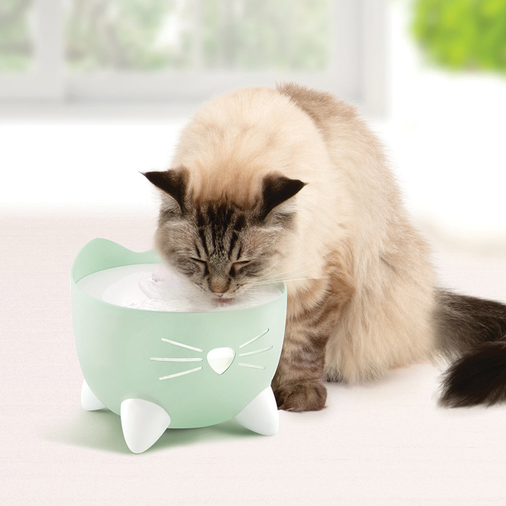 View larger image of Catit, PIXI Fountain - Mint Green