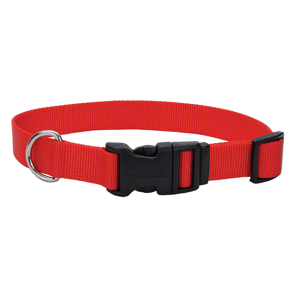 View larger image of Adjustable Dog Collar with Plastic Buckle, Red, Small - 5/8" x 10"-14"