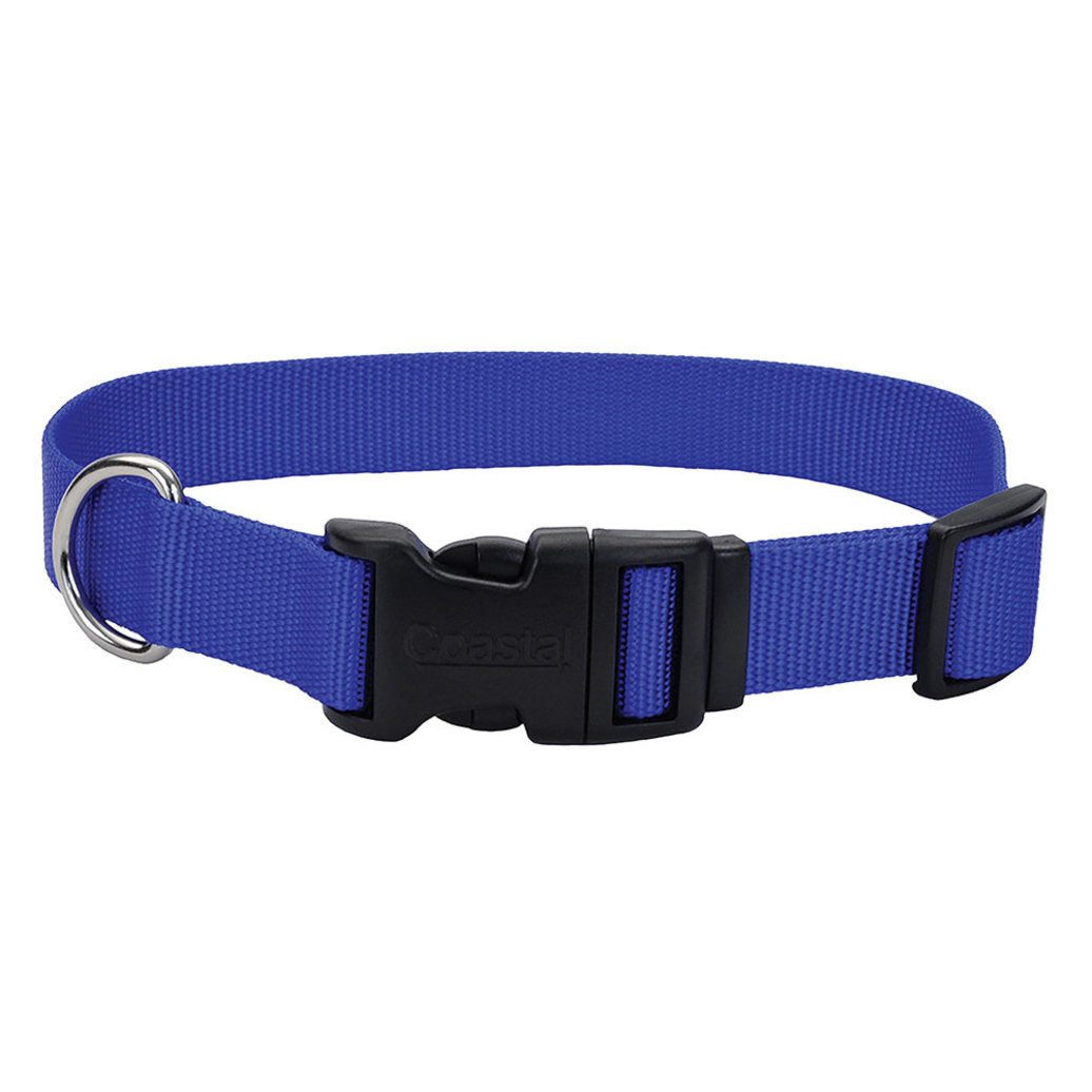 View larger image of Adjustable Dog Collar with Plastic Buckle, Blue, Small - 5/8" x 10"-14"