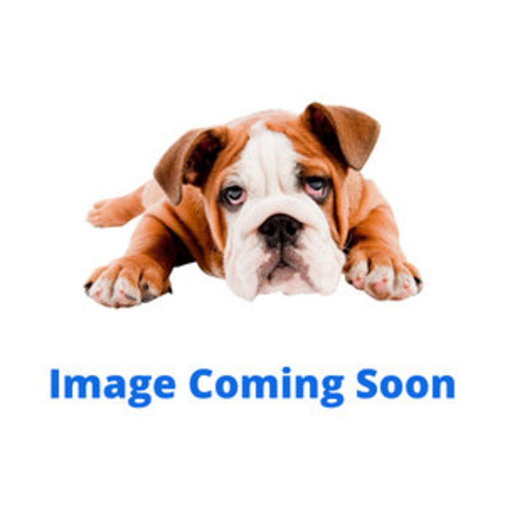View larger image of Dog Collar - Pro Waterproof - Fuschia - 1" x14-20"