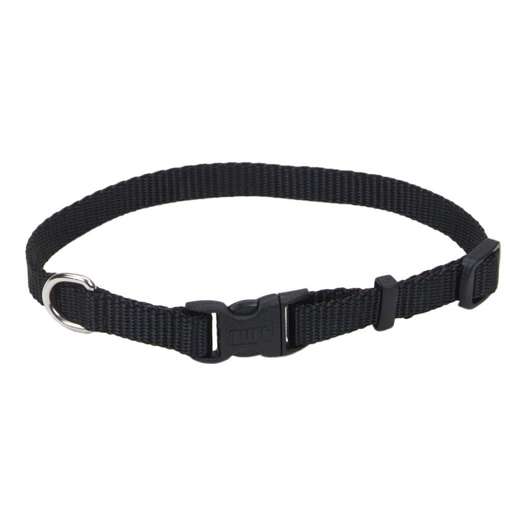 View larger image of Dog Collar - Core Clip - Black - 3/8" x 8-12"