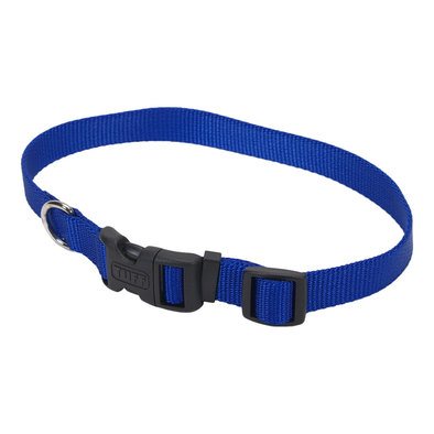 Adjustable Dog Collar with Plastic Buckle, Blue, Medium - 3/4" x 14"-20"