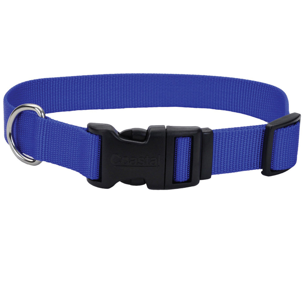 View larger image of Dog Collar - Core Clip - Blue - 3/4" x 14-20"