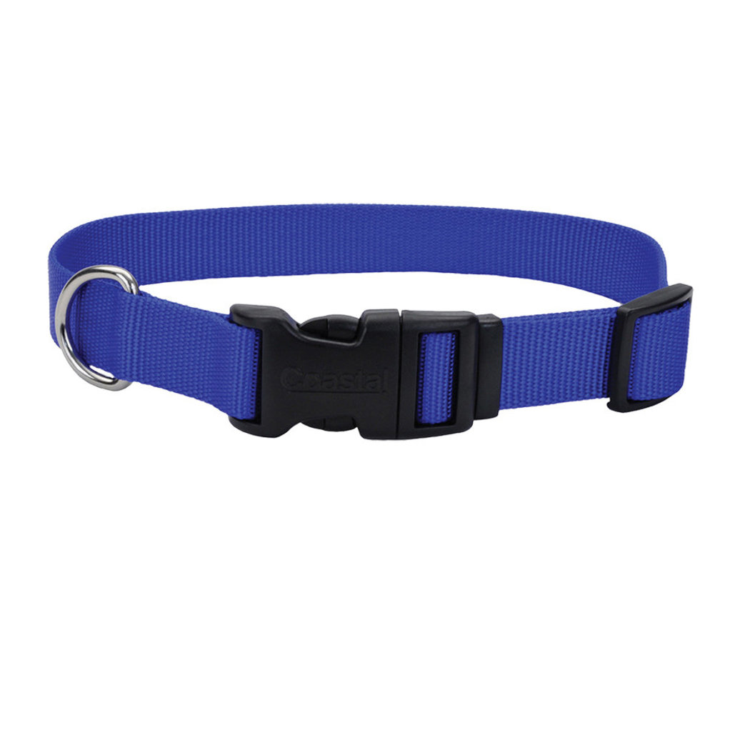 View larger image of Dog Collar - Core Clip - Blue - 3/8" x 8-12"