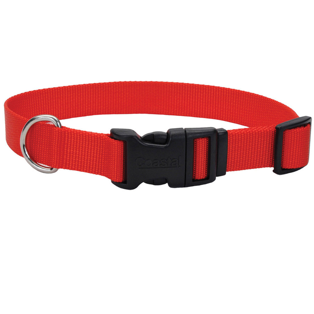 View larger image of Coastal, Adjst Collar w/Plastic Buckle Red M - 3/4x14-20"