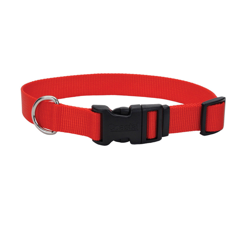 View larger image of Coastal, Adjst Collar w/Plastic Buckle Red XS - 3/8x8-12"