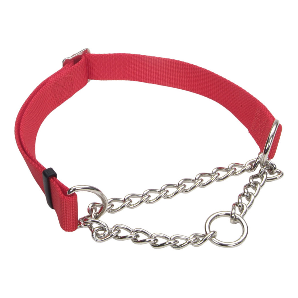 View larger image of Coastal, Dog Collar - Core Training - Red