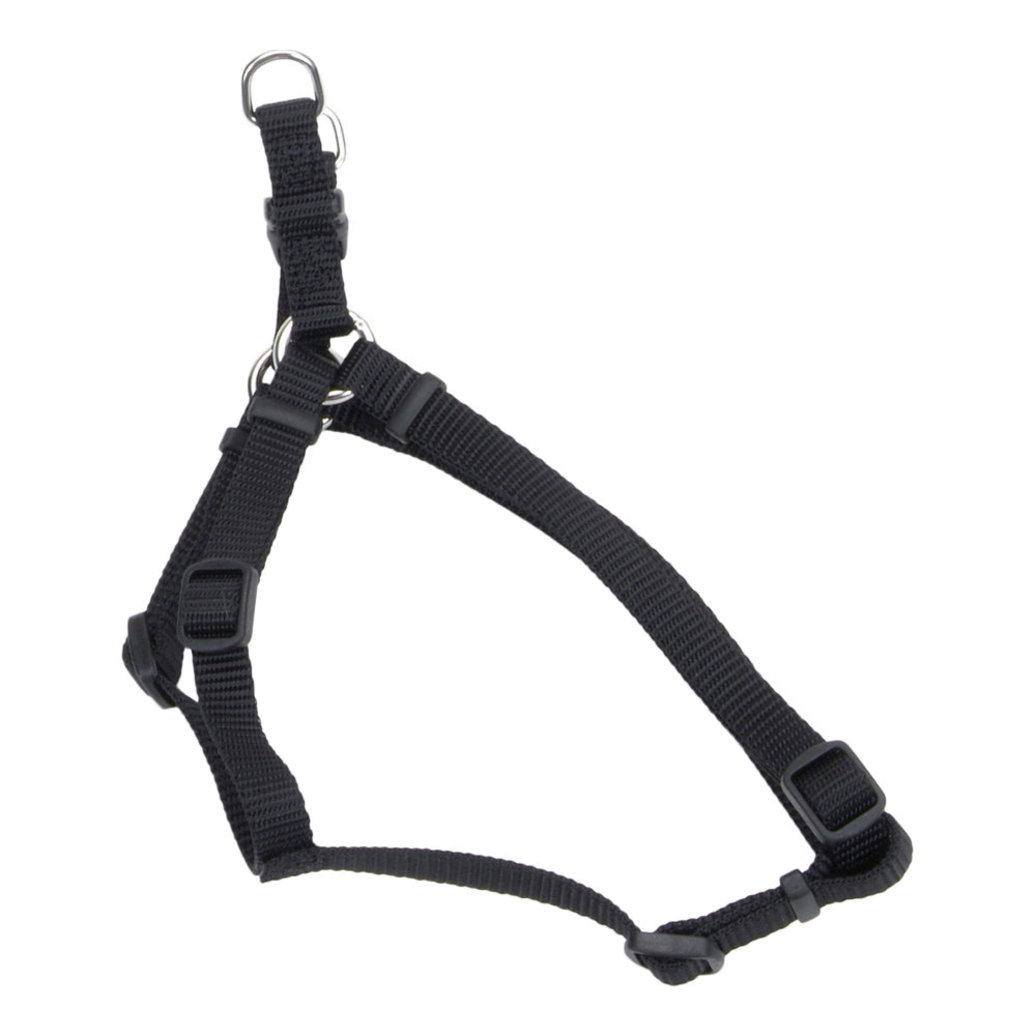 View larger image of Dog Harness - Core - Black - 1" x 26-38"