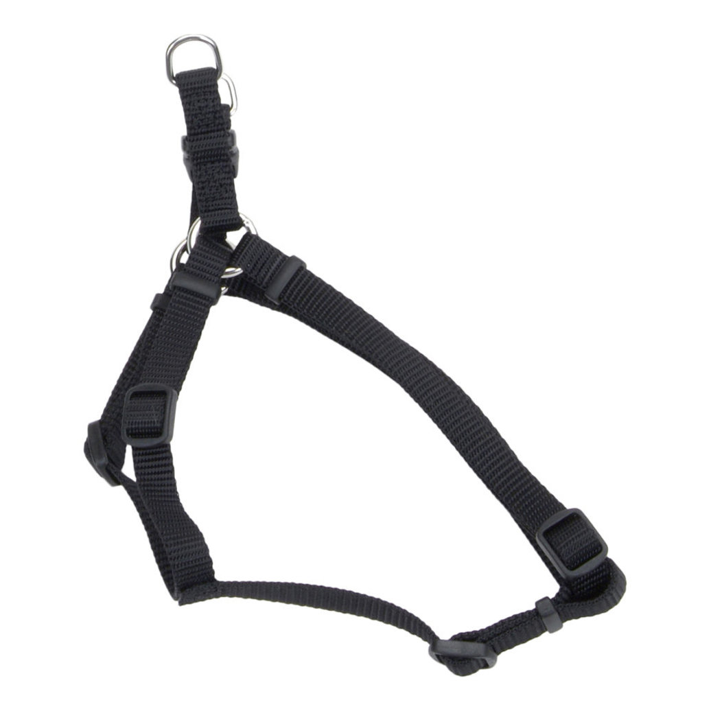 View larger image of Dog Harness - Core - Black - 3/4" x 20-30"