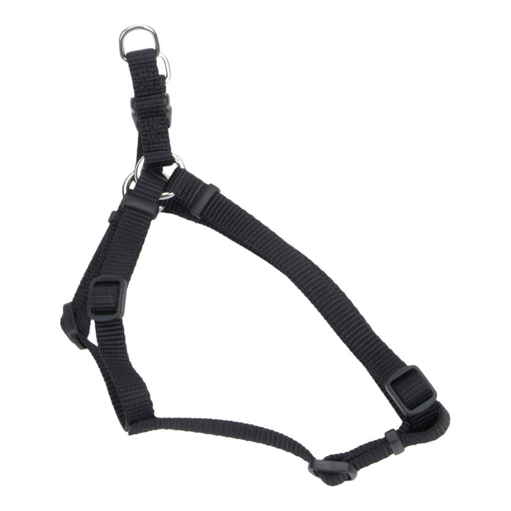 View larger image of Dog Harness - Core - Black - 5/8" x 16-24"