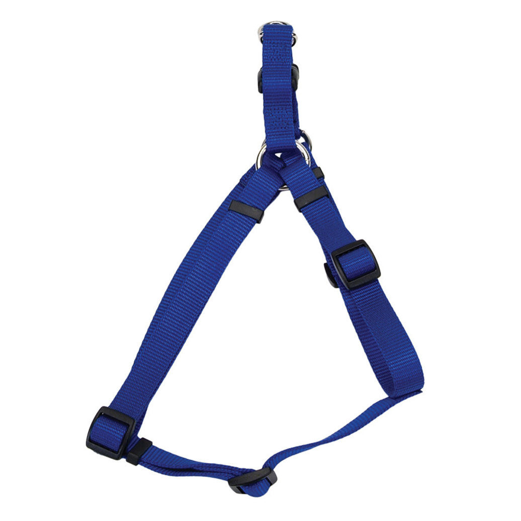 View larger image of Dog Harness - Core - Blue - 1" x 26-38"