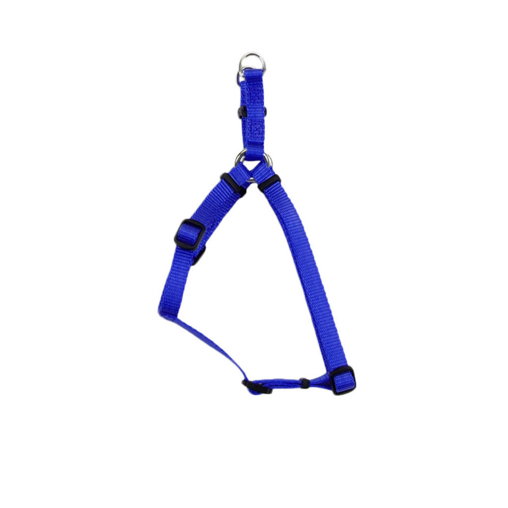 View larger image of Dog Harness - Core - Blue - 3/4" x 20-30"
