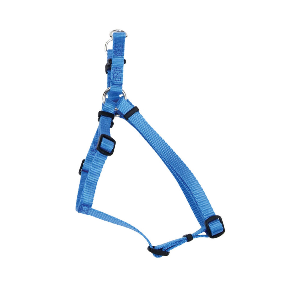 View larger image of Dog Harness - Core - Blue Lagoon - 5/8" x 16-24"