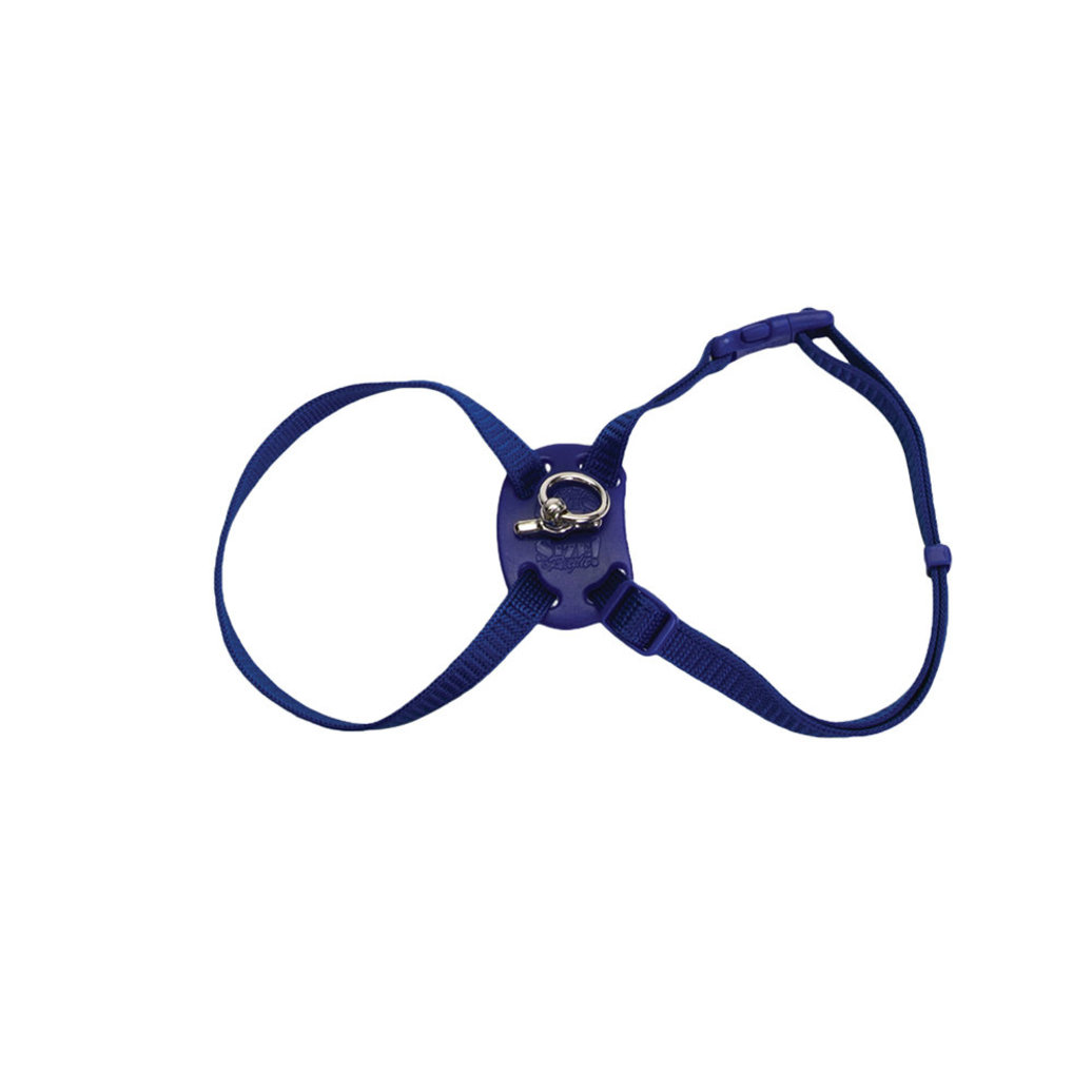 View larger image of Cat Harness - Blue - 3/8" x 12-18"