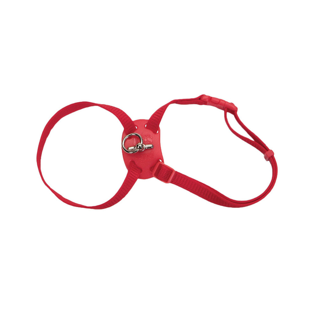 View larger image of Cat Harness - Red - 3/8" x 12-18"