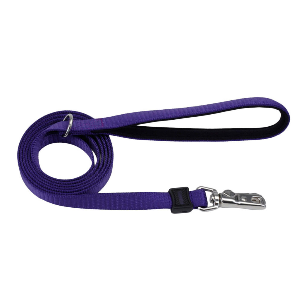 View larger image of Dog Leash - Inspire - Purple - 1" x 6'