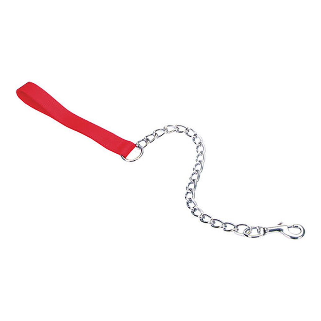 View larger image of Coastal, Leash - Titan Chain - Red - 4 mm