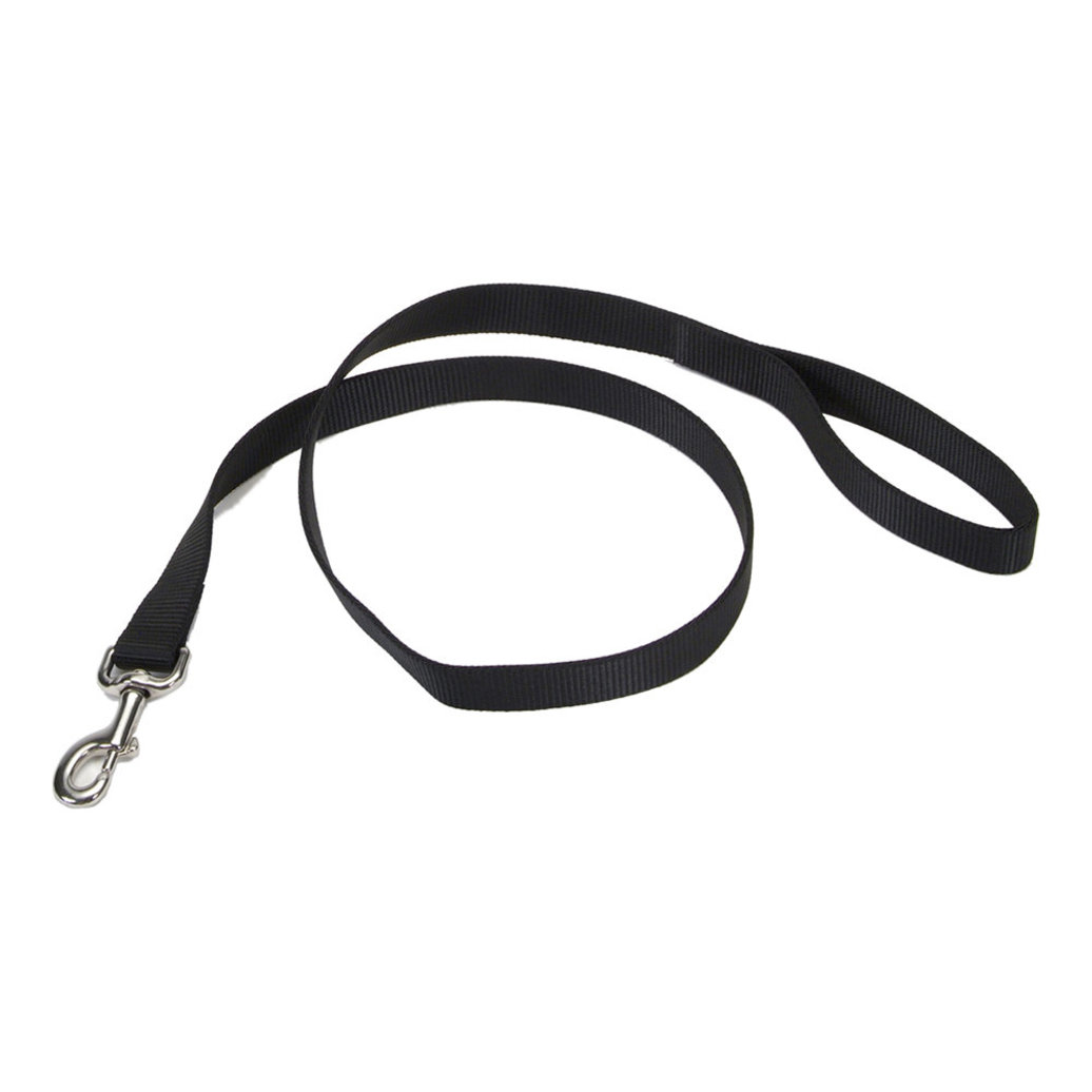 View larger image of Dog Leash - Core - Black - 1" x 6'