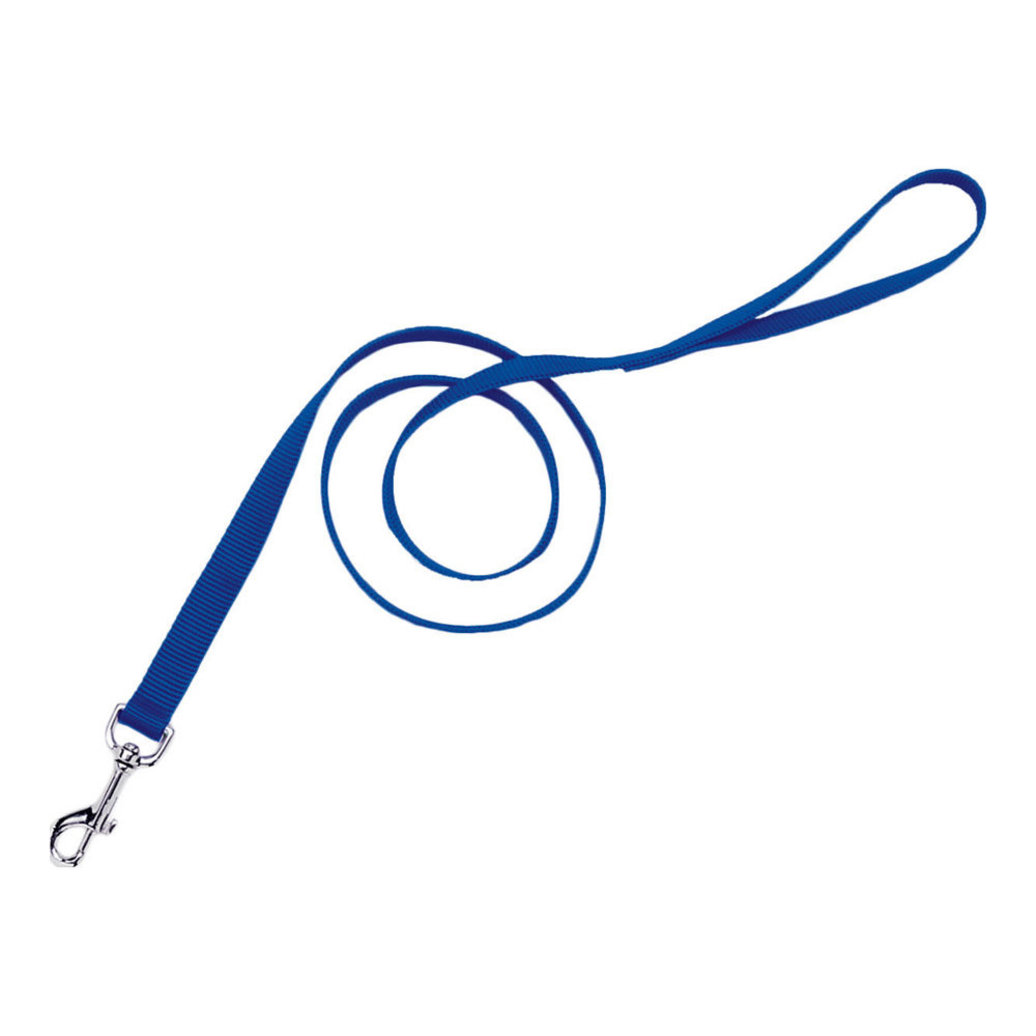 View larger image of Dog Leash - Core - Blue - 1" x 6'