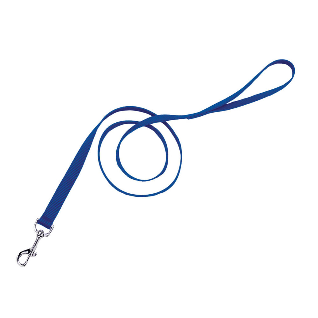 View larger image of Dog Leash - Core - Blue - 1" x 6'