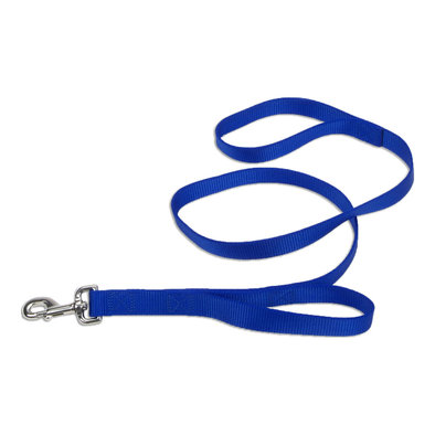Coastal, Dog Leash - Core with Traffic Loop - Blue -1" x 6' - Dog Leash