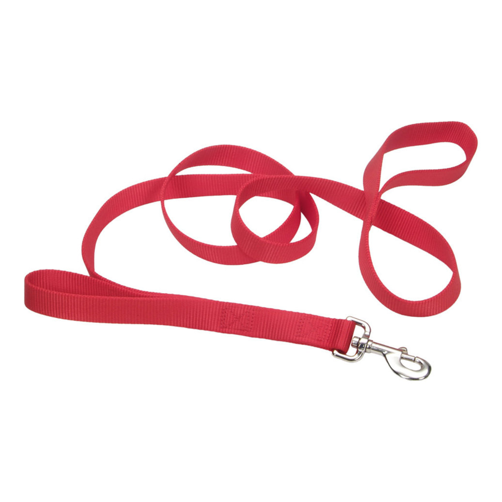 View larger image of Dog Leash - Core with Traffic Loop - Red - 1" x 6'