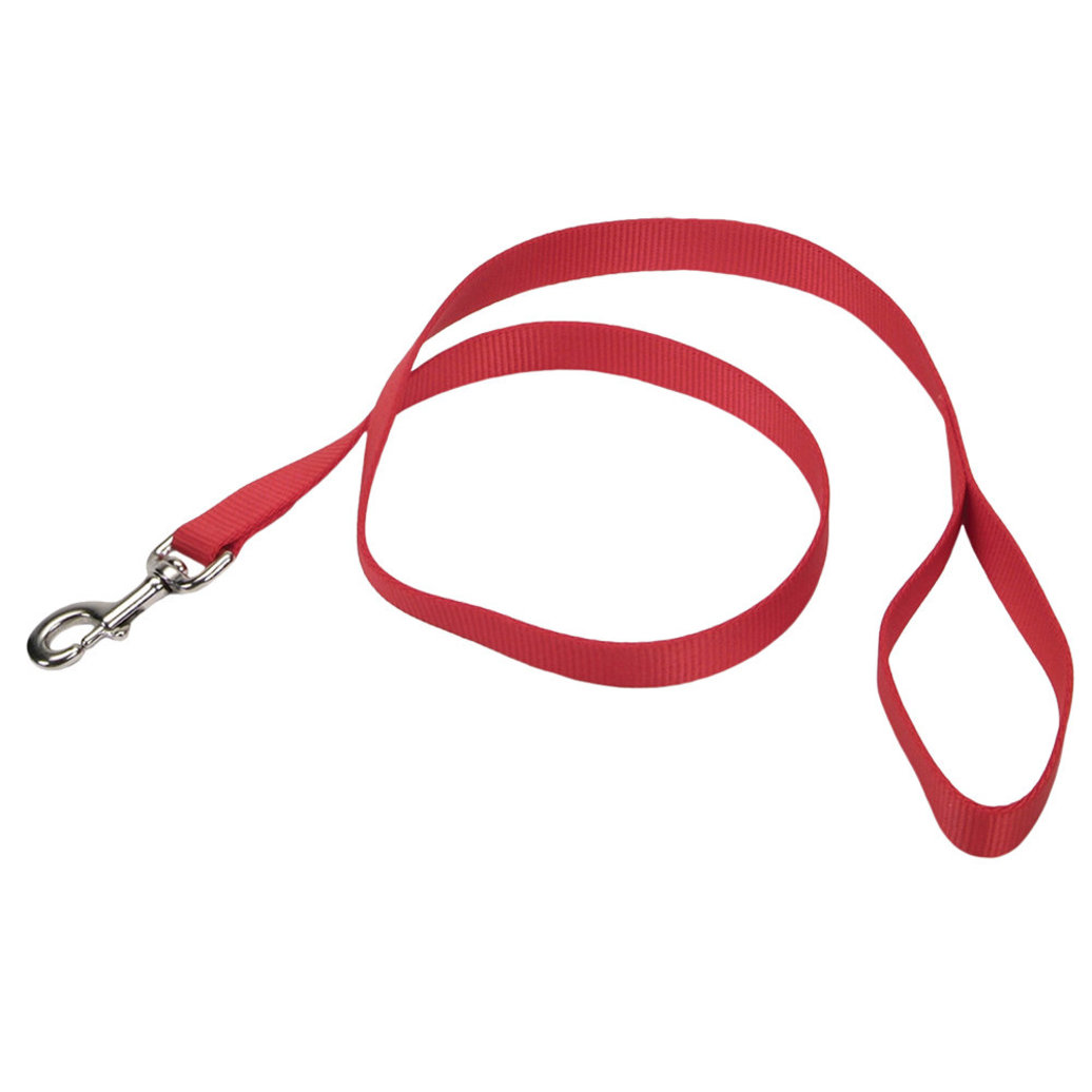 View larger image of Dog Leash - Core - Red - 3/4" x 6'