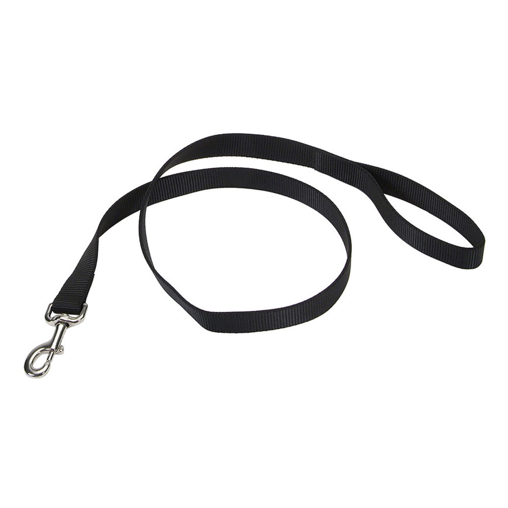 View larger image of Single-Ply Dog Leash, Black, Small - 5/8" x 6'
