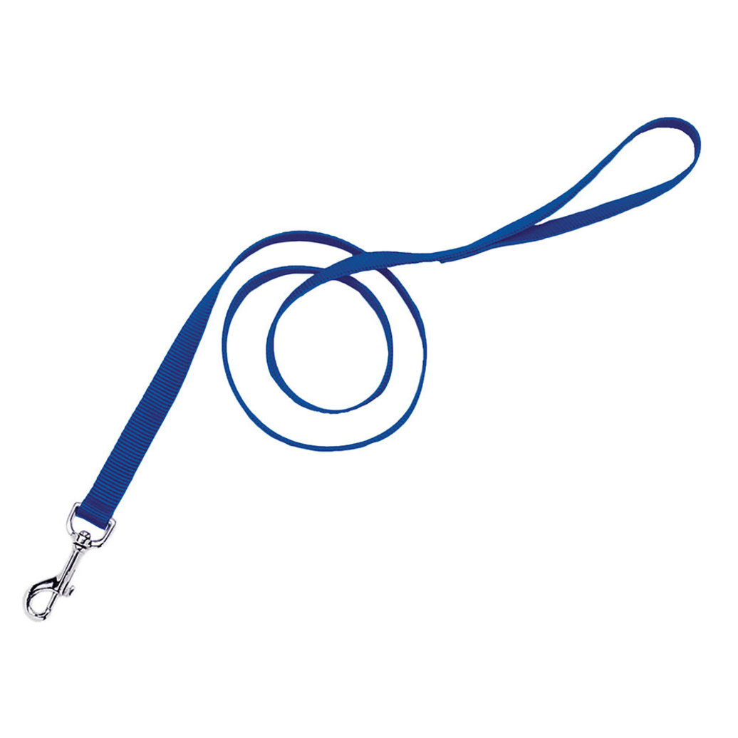 View larger image of Single-Ply Dog Leash, Blue, Small - 5/8" x 6'