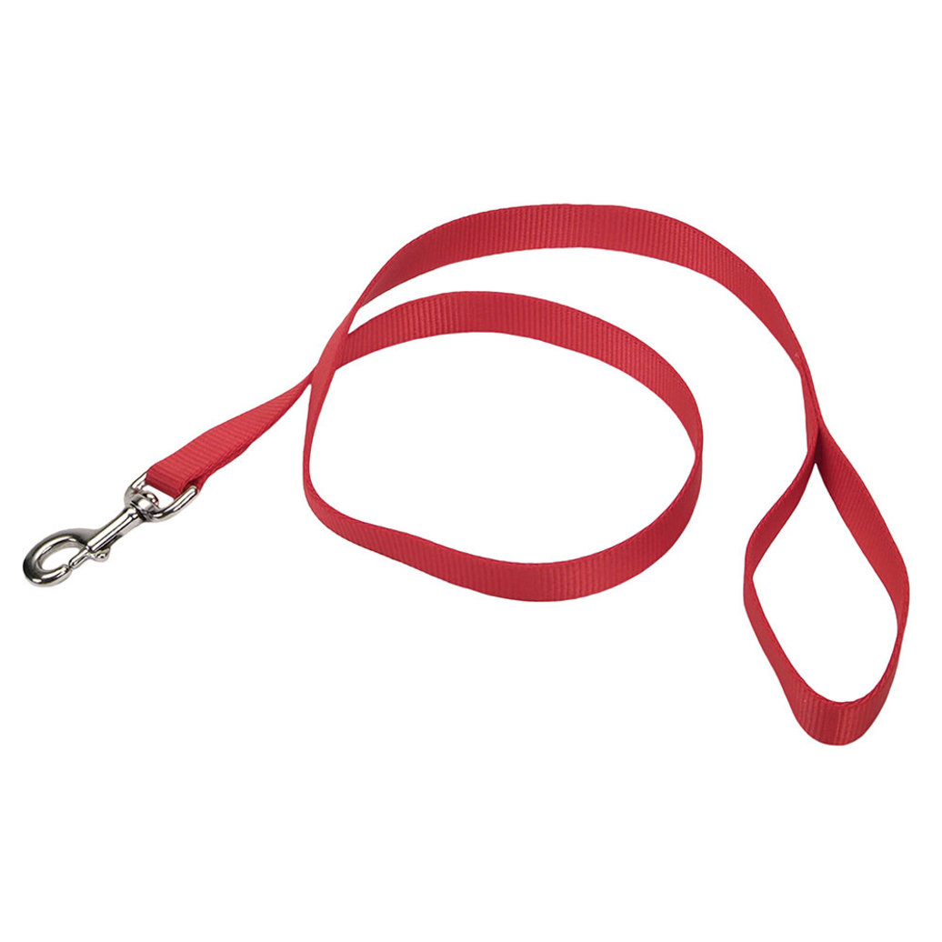 View larger image of Single-Ply Dog Leash, Red, Small - 5/8" x 6'