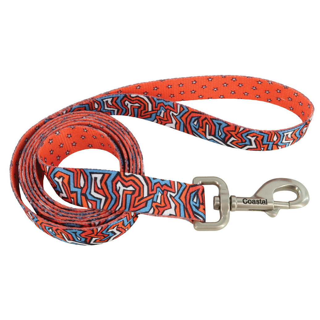 View larger image of Dog Leash, Red Blue Graffiti with Red Stars, Medium/Large - 1" x 6'