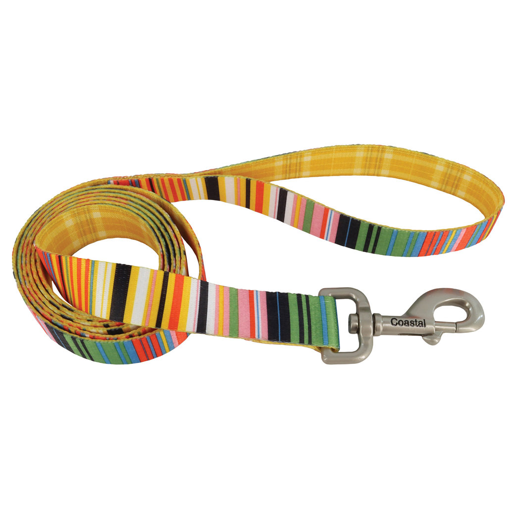 View larger image of Dog Leash, Sublime Stripe with Gold Plaid, Medium/Large - 1" x 6'