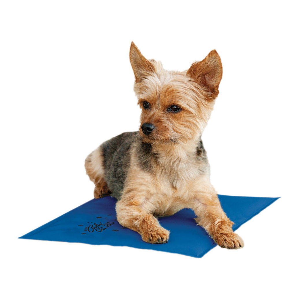 View larger image of Coolin' Pet Pad - Small - 11x15"