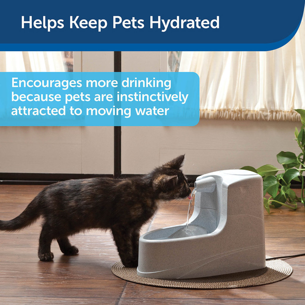 View larger image of Mini Pet Fountain