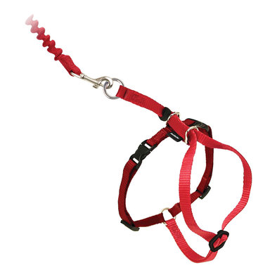 Come With Me Kitty Cat Harness & Bungee Leash - Red