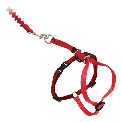Easy Walk, Come With Me Kitty Cat Harness & Bungee Leash - Red