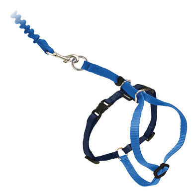 Easy Walk, Come With Me Kitty Cat Harness & Bungee Leash - Royal Blue
