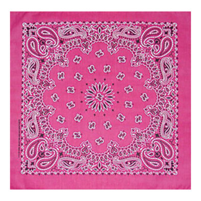 Bandana - Paisley Hot Pink