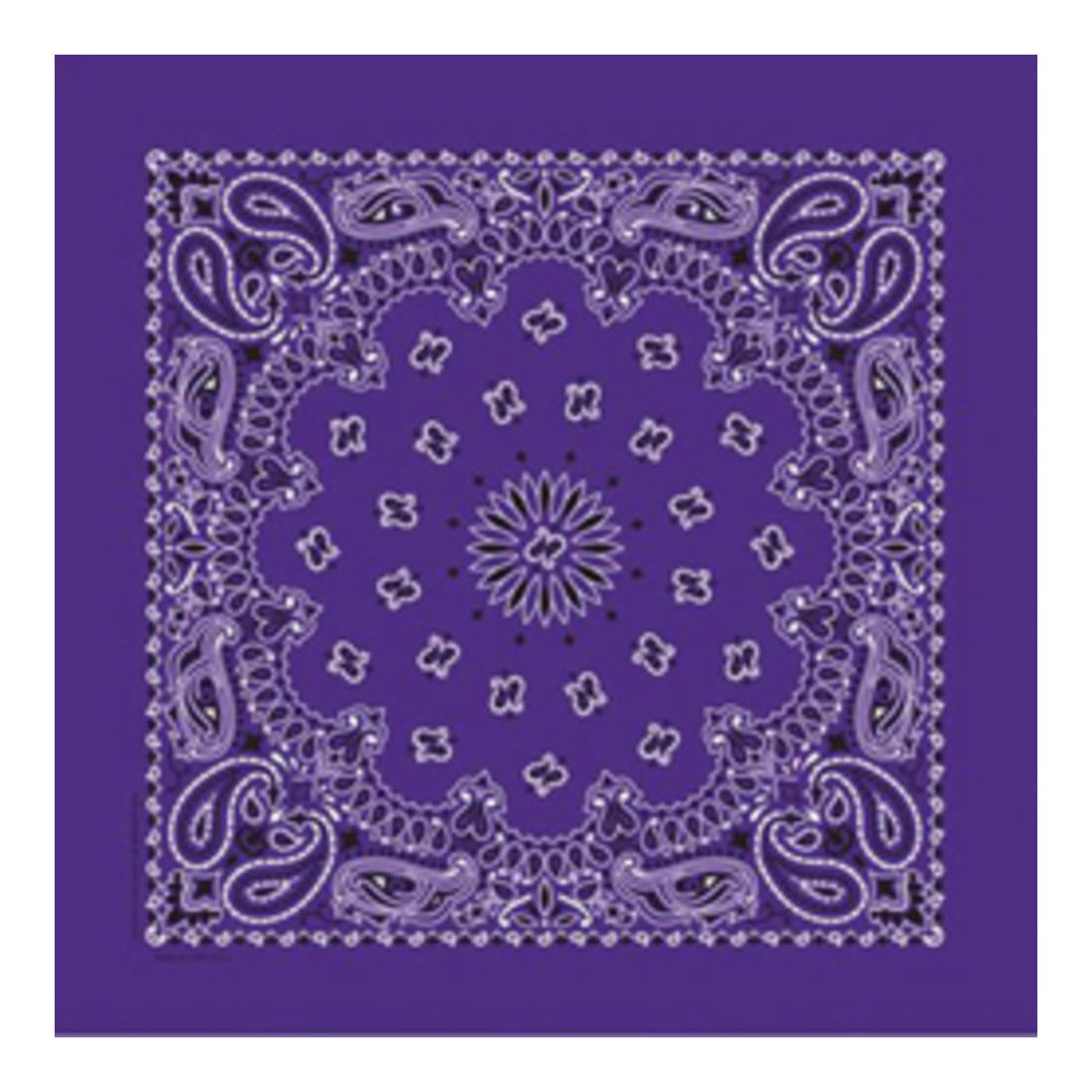 View larger image of Fashion Bandana, Bandana - Purple Paisley