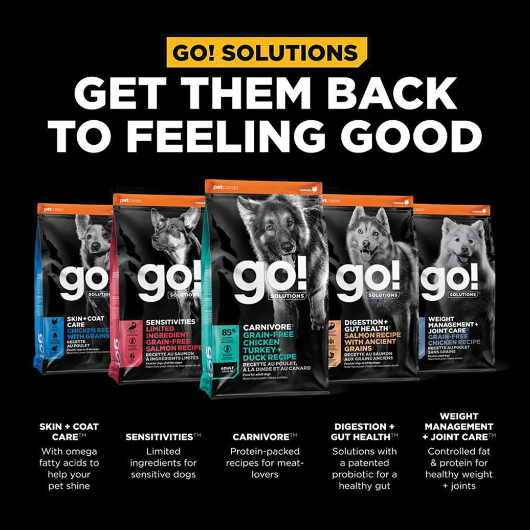 View larger image of GO! SOLUTIONS, CARNIVORE Grain Free Chicken, Turkey + Duck Adult Recipe for dogs