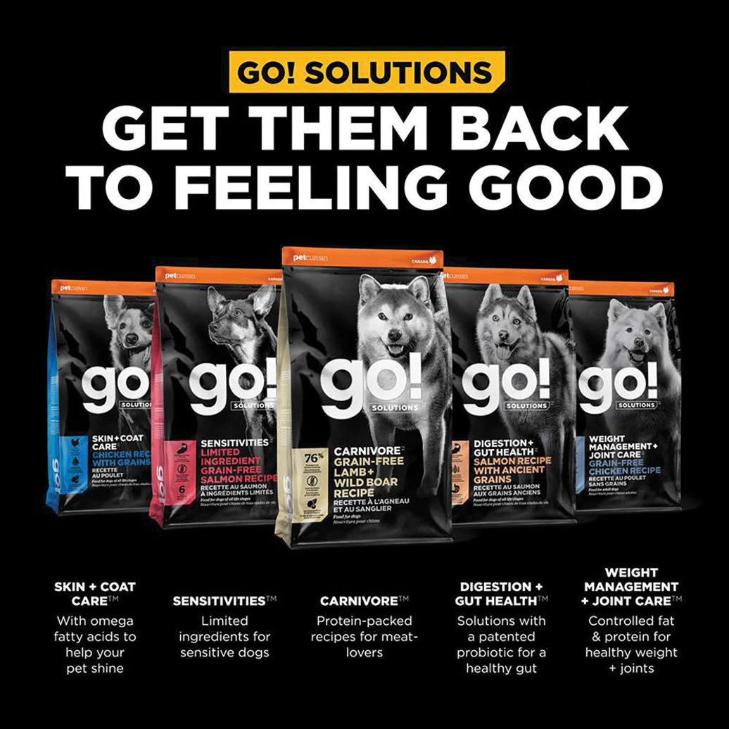 View larger image of GO! SOLUTIONS, CARNIVORE Grain Free Lamb + Wild Boar Recipe for dogs