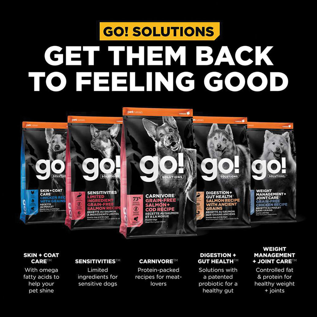 View larger image of GO! SOLUTIONS, CARNIVORE Grain Free Salmon + Cod Recipe for dogs